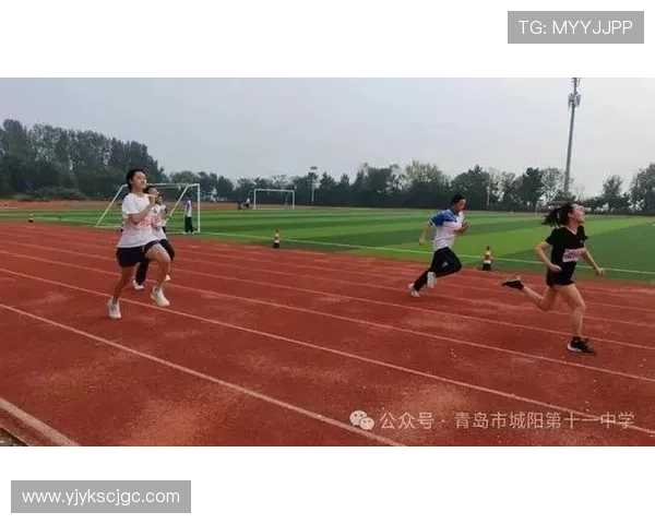 深圳排球队在洲际杯上的拼搏历程与荣耀时刻全景回顾 深圳排球队在洲际杯上的拼搏历程与荣耀时刻全景回顾