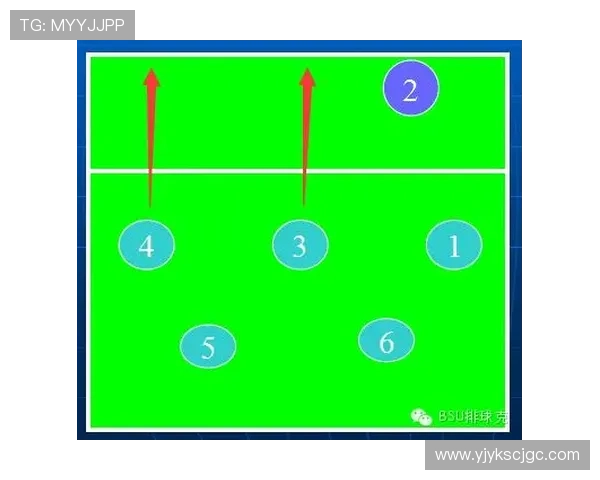 南京排球队的防反战术解析与深度剖析排球比赛中的关键策略