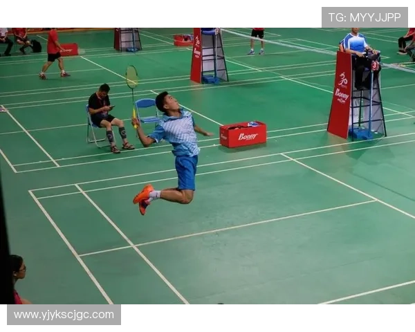 羽毛球耐力榜单揭晓北京羽毛球队荣获第五名殊荣