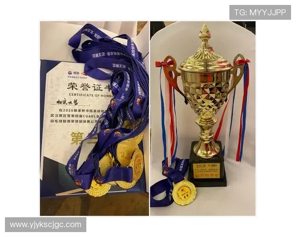 武汉羽毛球队运营模式解析及其在羽毛球领域的影响与发展策略探讨