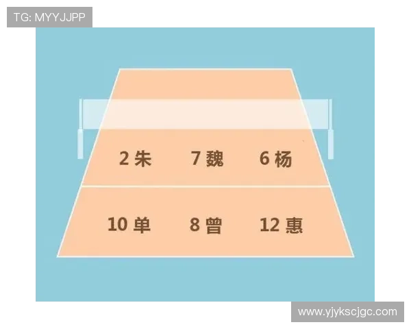 武汉排球队战术解析与对比研究揭示球队优势与不足之处